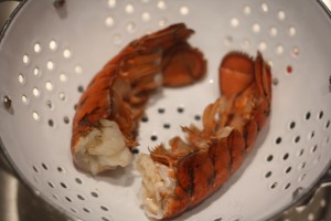 Remove the lobster tails from heat.  Drain the water, and allow the tails to cool.