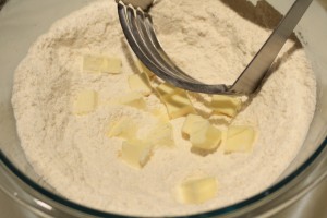 Using a pastry blender or 2 forks, cut the butter into the dry ingredients.