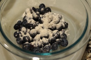 Place the blueberries into a small bowl.  Add in the 1 tsp of flour.  