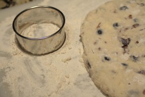 Dip the biscuit cutter into some extra flour. (If you don’t have a biscuit cutter, you could use a drinking glass/cup upside down, dipped in flour to cut your biscuits.)