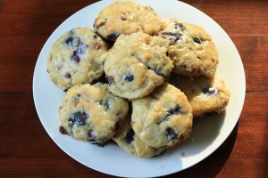 Place biscuits onto a serving platter, or in a bread basket.  Serve warm.