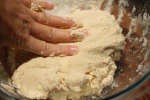 Press down the dough a little flat, gently.  Repeat folding the dough, and pressing down gently.  Do this about 10 times.  This will help make the biscuits have nice flakey layers.