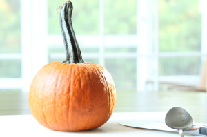 This little guy is about a 2 and ¾ lb sugar pumpkin.  Isn’t it cute?