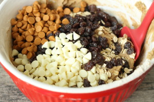 Fold Raisins and Oatmeal