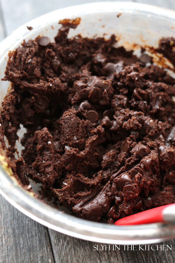 Double Chocolate Chip Cookie Dough