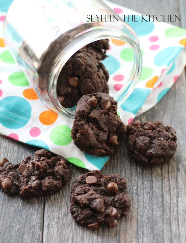Double Chocolate Chip Cookie Jar